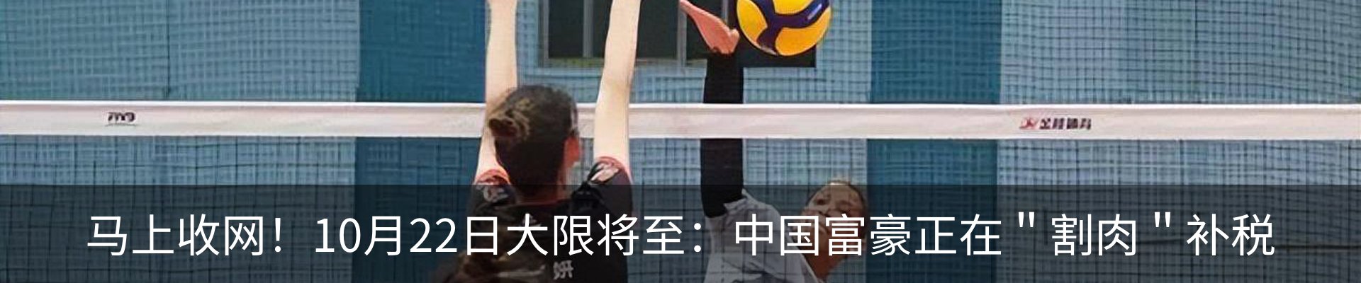 资讯动态